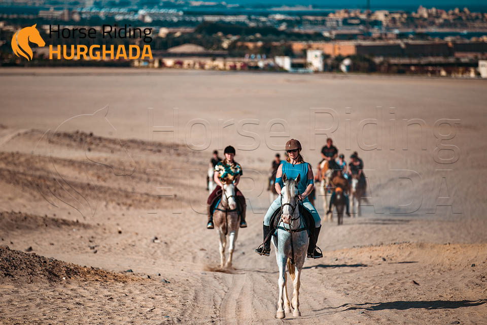 Tree hours desert trip