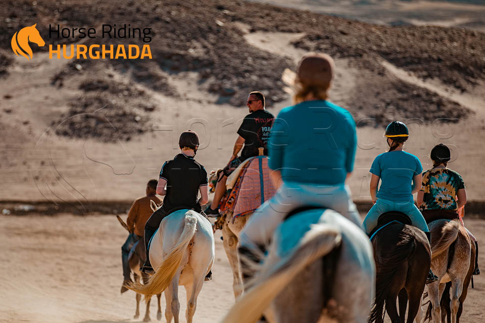 Tree hours desert trip