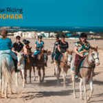 Four hours desert and sea trip Plus Swimming with horse