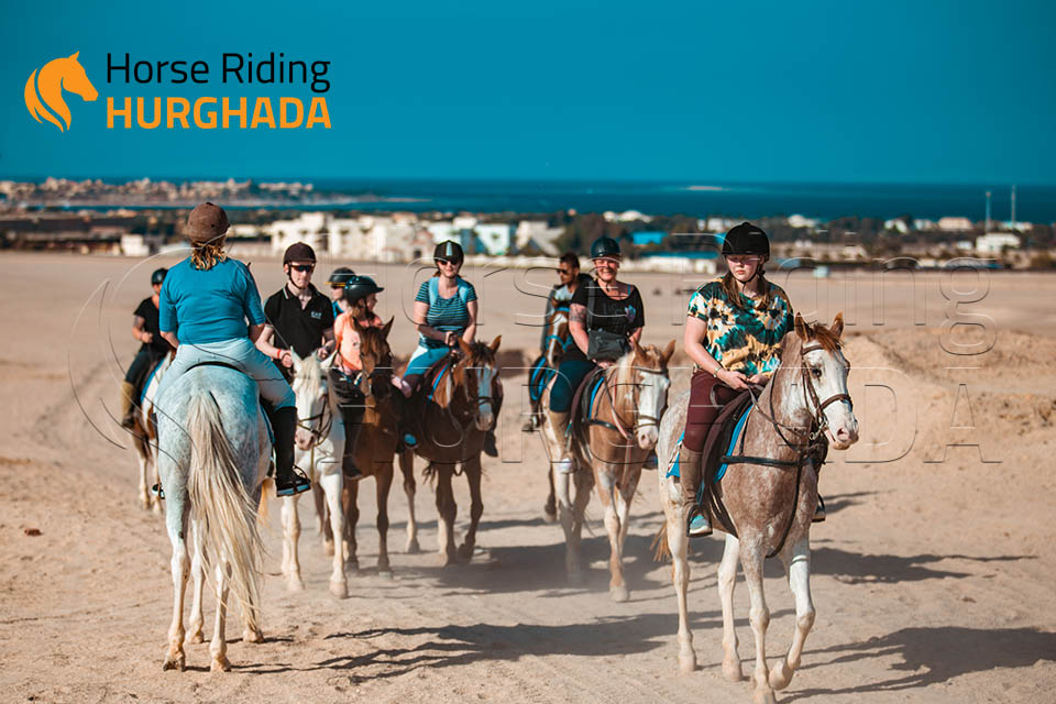 Four hours desert and sea trip Plus Swimming with horse