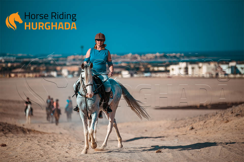 Four hours desert and sea trip Plus Swimming with horse