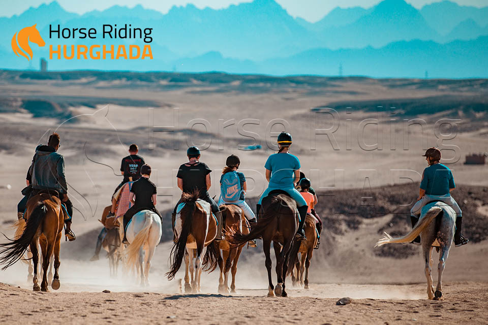 Four hours desert and sea trip Plus Swimming with horse