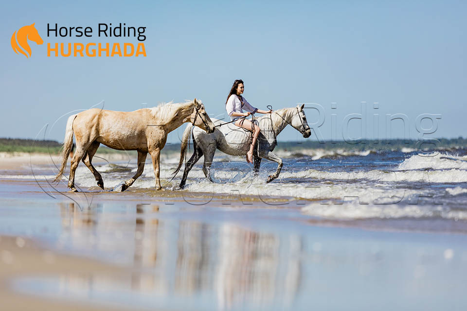 Four hours desert and sea trip Plus Swimming with horse