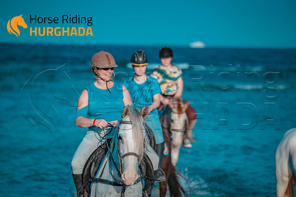 Four hours desert and sea trip Plus Swimming with horse