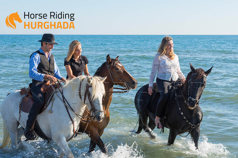 Four hours desert and sea trip Plus Swimming with horse