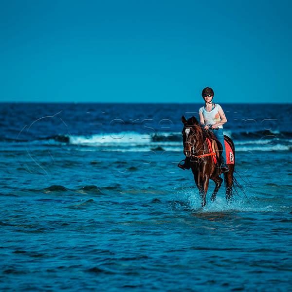 Fascinating Four hours of desert and sea trip Plus Swimming with a horse