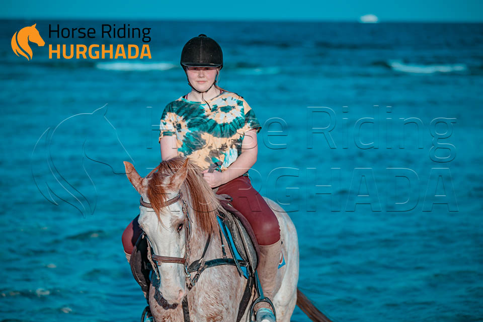 Swimming with horse 2 Hour Tour
