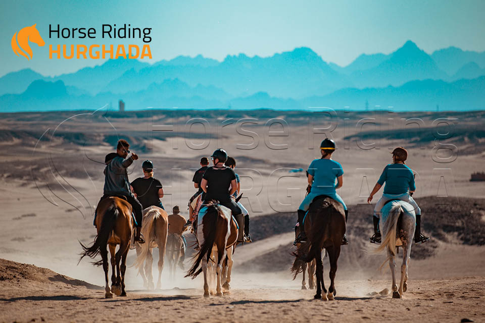 Swimming with horse 2 Hour Tour