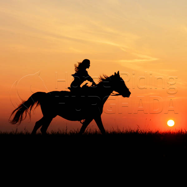 Horse Riding Hurghada Activities In 2023