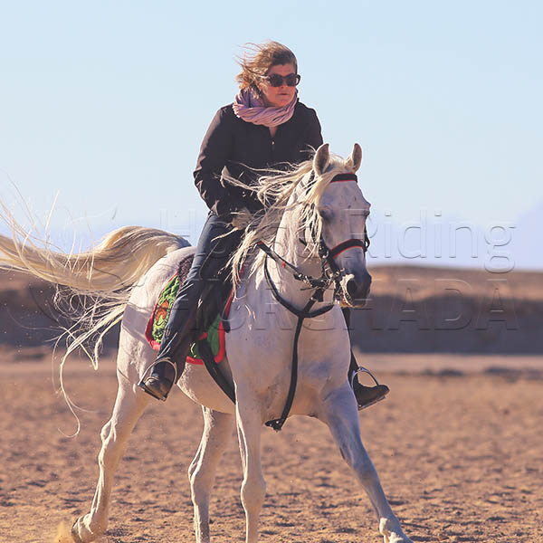 Horseback Riding Soma Bay