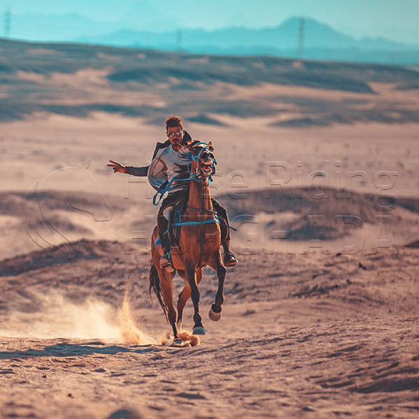 El Gouna Horse Ride Excursion