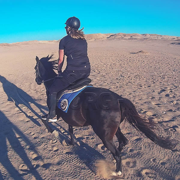 El Gouna Horse Riding