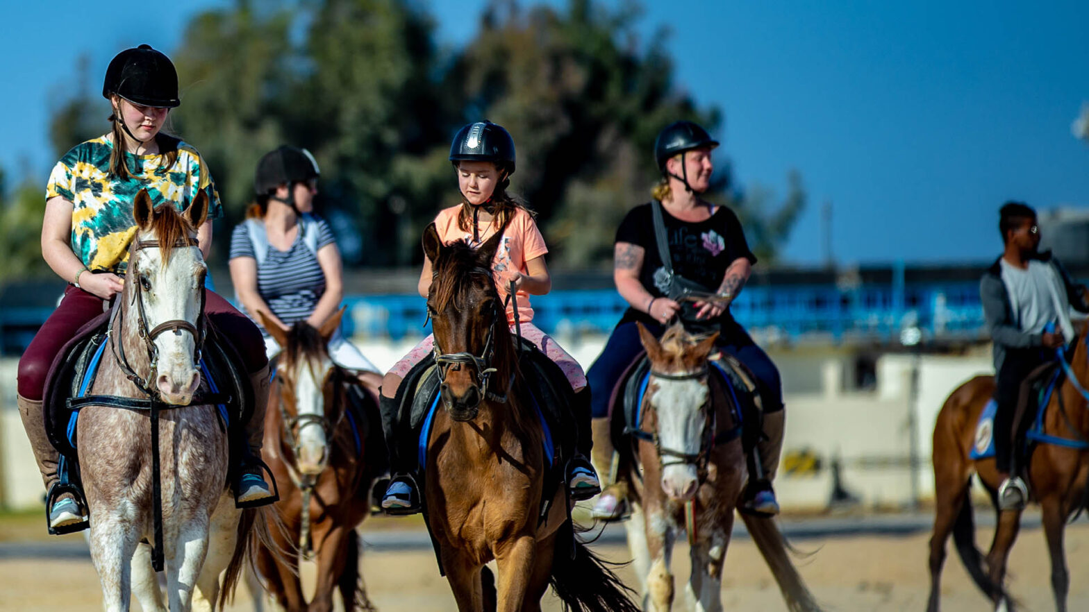 horse riding hurghada